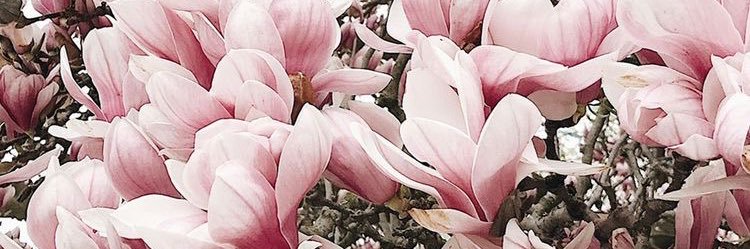Lorena16_4's profile banner image