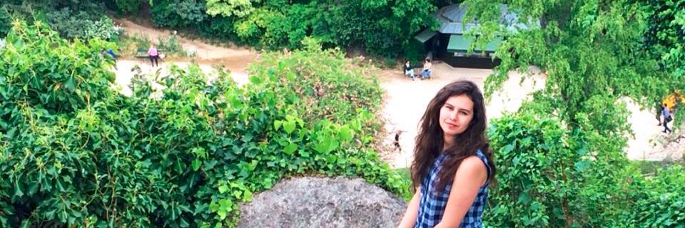 NasmaAlami's profile banner image