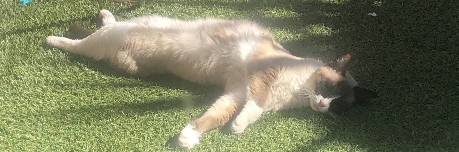polterrgeist's profile banner image