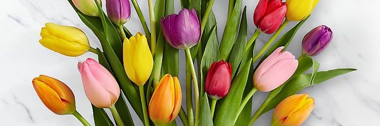 elamyprettybabe's profile banner image