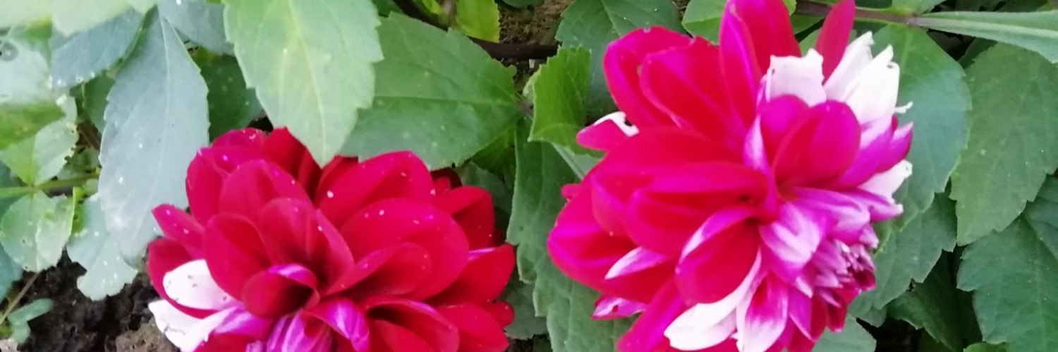 fundaclsk57's profile banner image