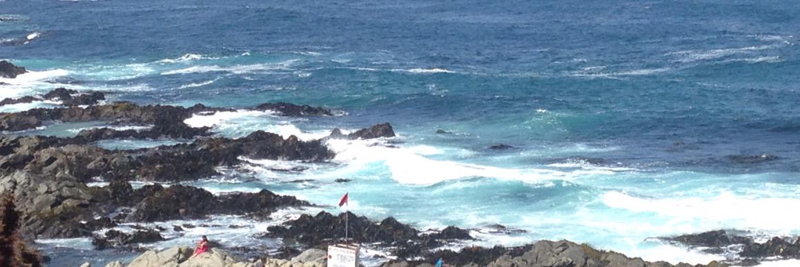 Felipe Gonzalez banner