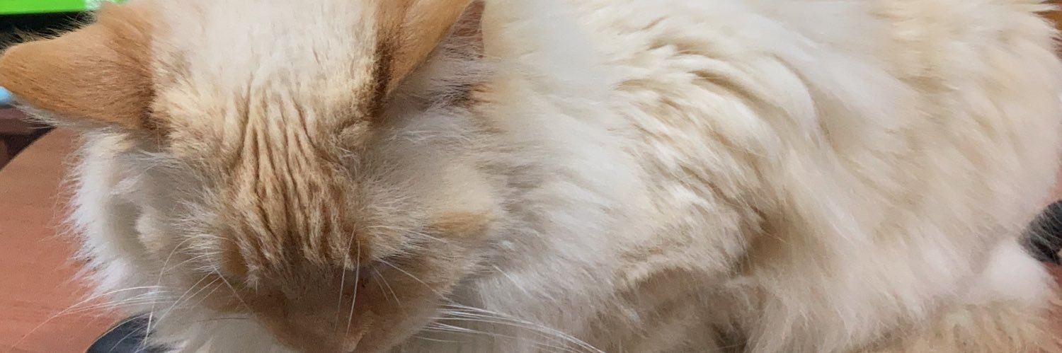 jaimekken's profile banner image