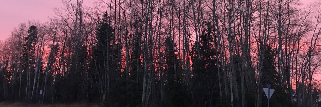 MariaRussell_'s profile banner image
