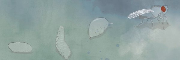 geneticament Profile Banner