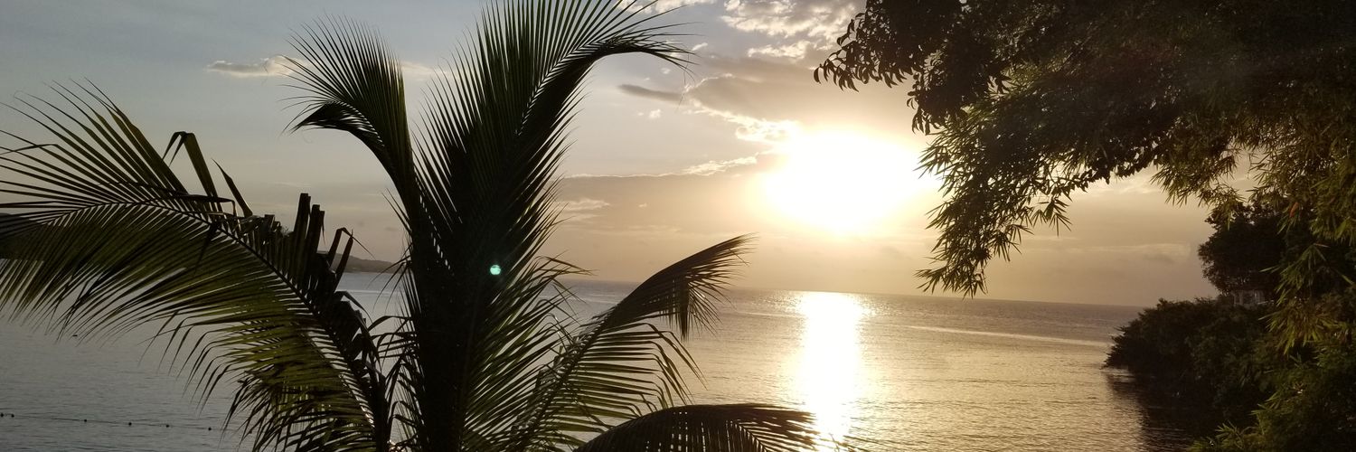 Lofi_Lich's profile banner image