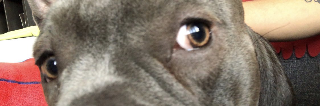 caamilo2303's profile banner image