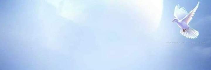 sidr9's profile banner image