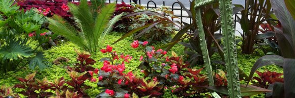 SylvieLL Profile Banner