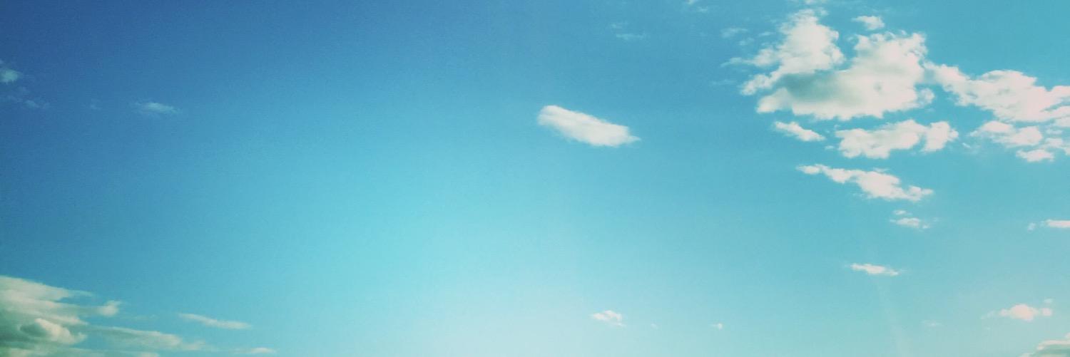 Amy Wright banner