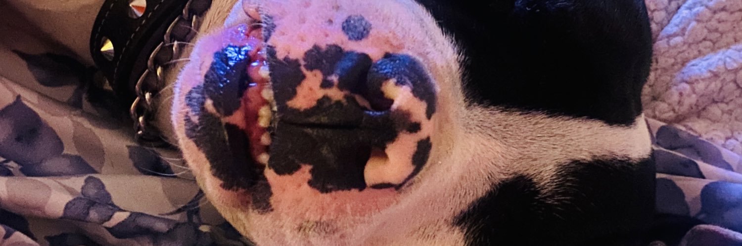 cechalo's profile banner image