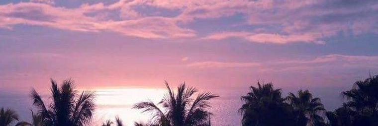 meruuuun_'s profile banner image