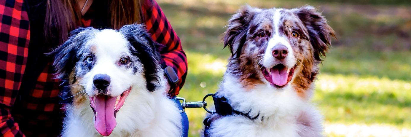 TorriHedrick's profile banner image