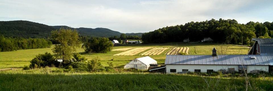 Dave Zuckerman banner