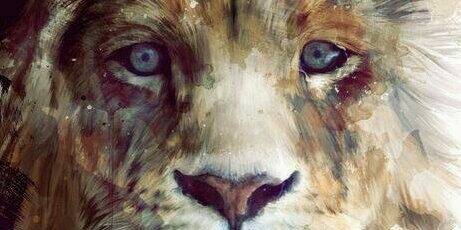 Daniela. banner