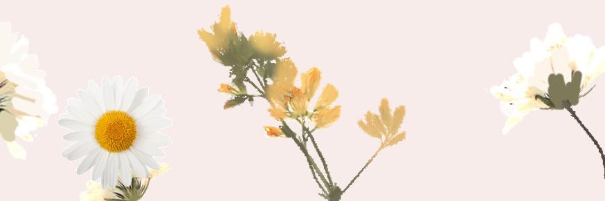 dinflaviano's profile banner image