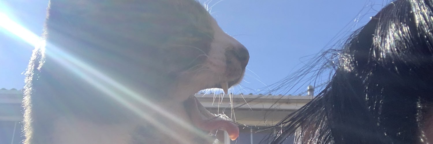Cats_With_Wings's profile banner image