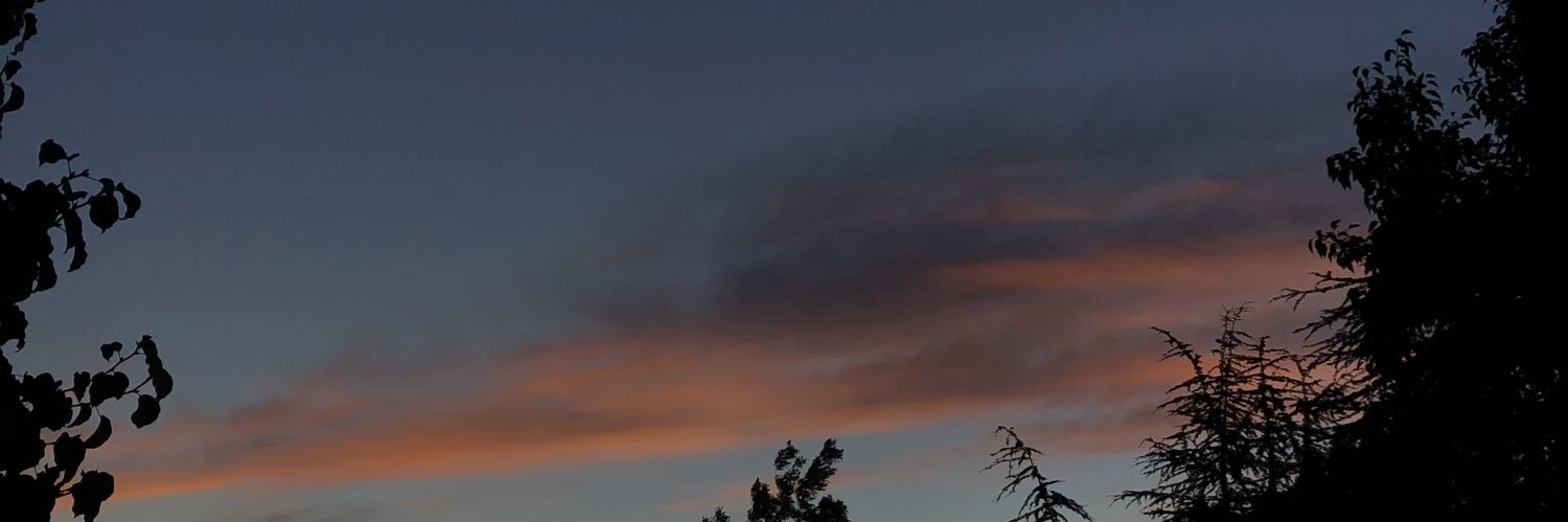 kassj__'s profile banner image
