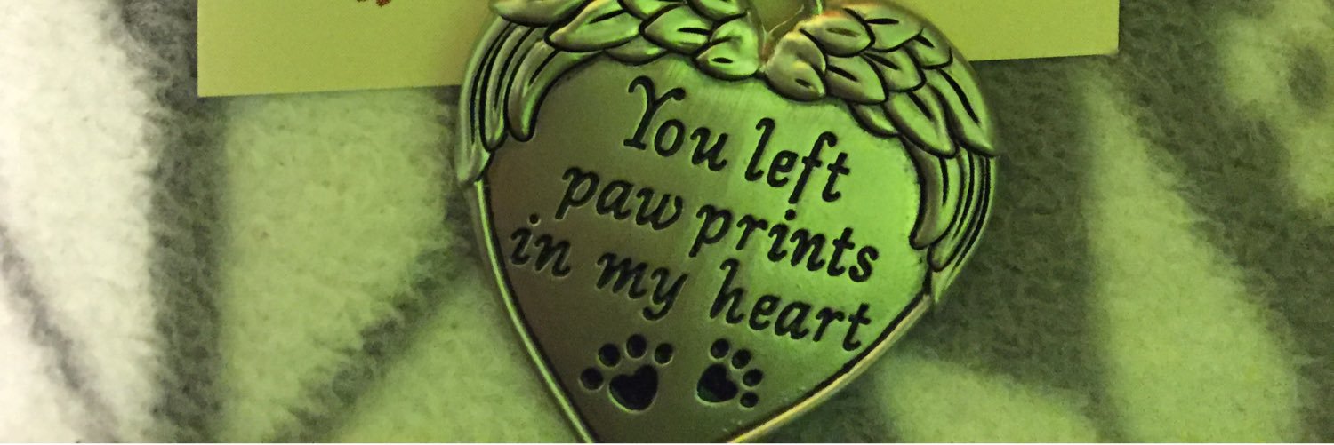 AllisonRoss15's profile banner image