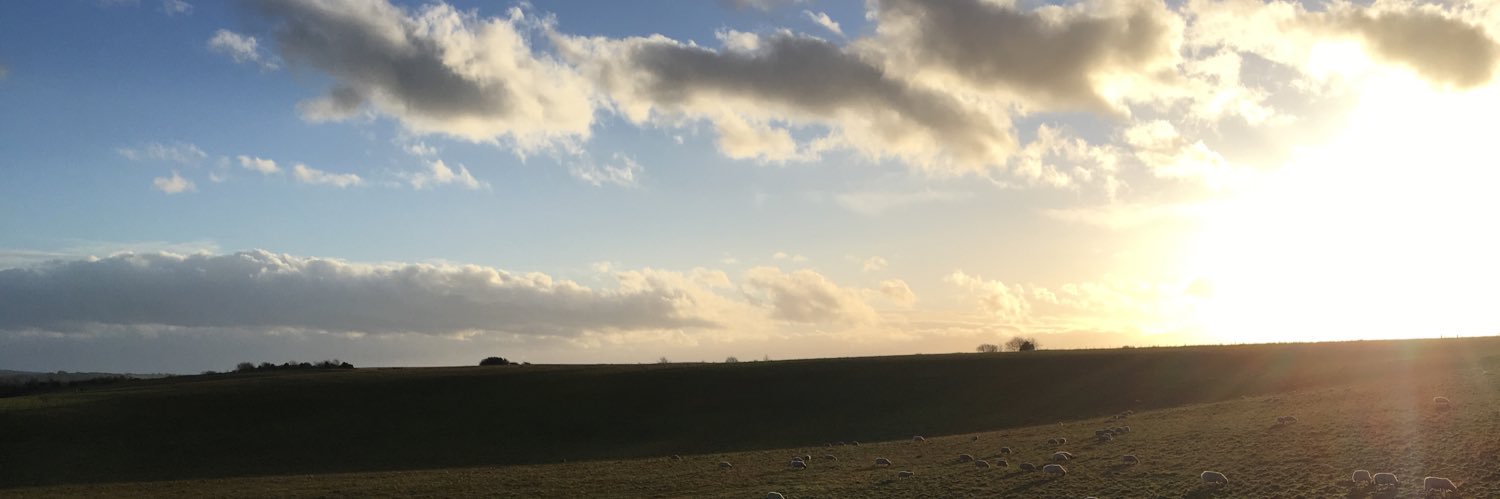 Caroline_Em_S's profile banner image