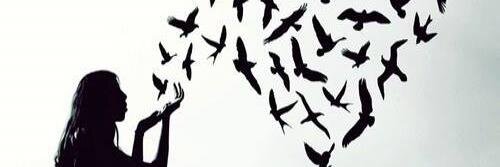 eileen doherty banner