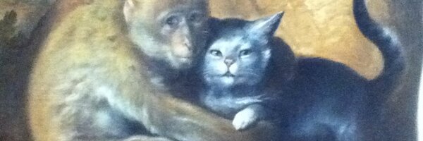 shimpop023 Profile Banner