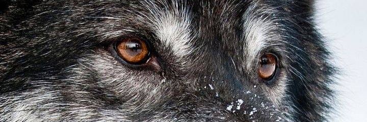 Karlitops71's profile banner image