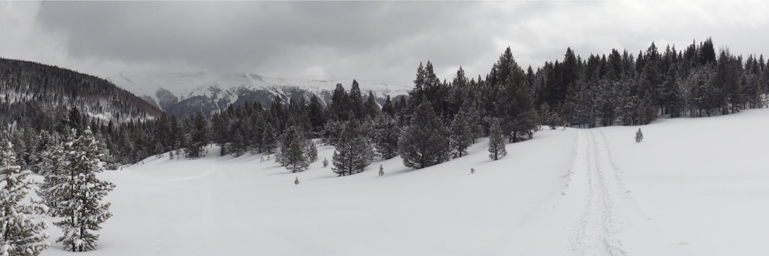 parrilj's profile banner image