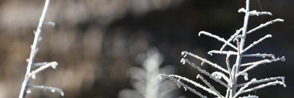 JoshCMandel Profile Banner