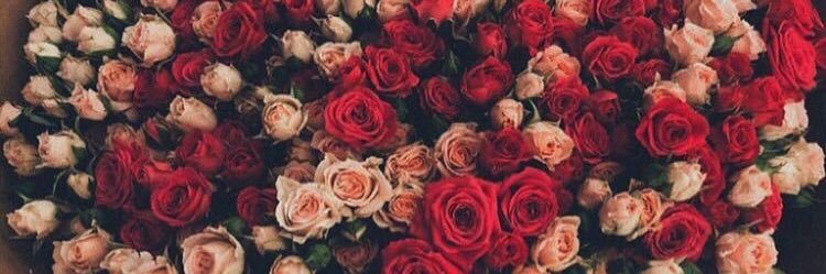 makeoutthill13's profile banner image
