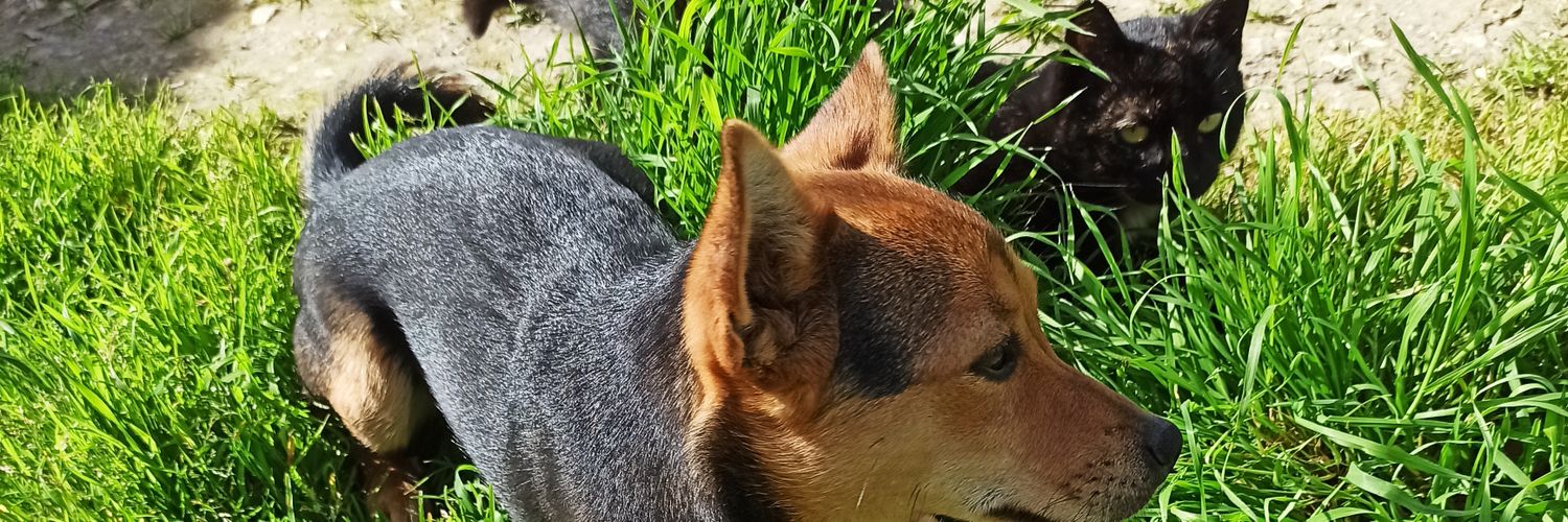 Mariacarrion9's profile banner image