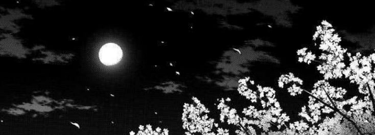 novaluna48's profile banner image
