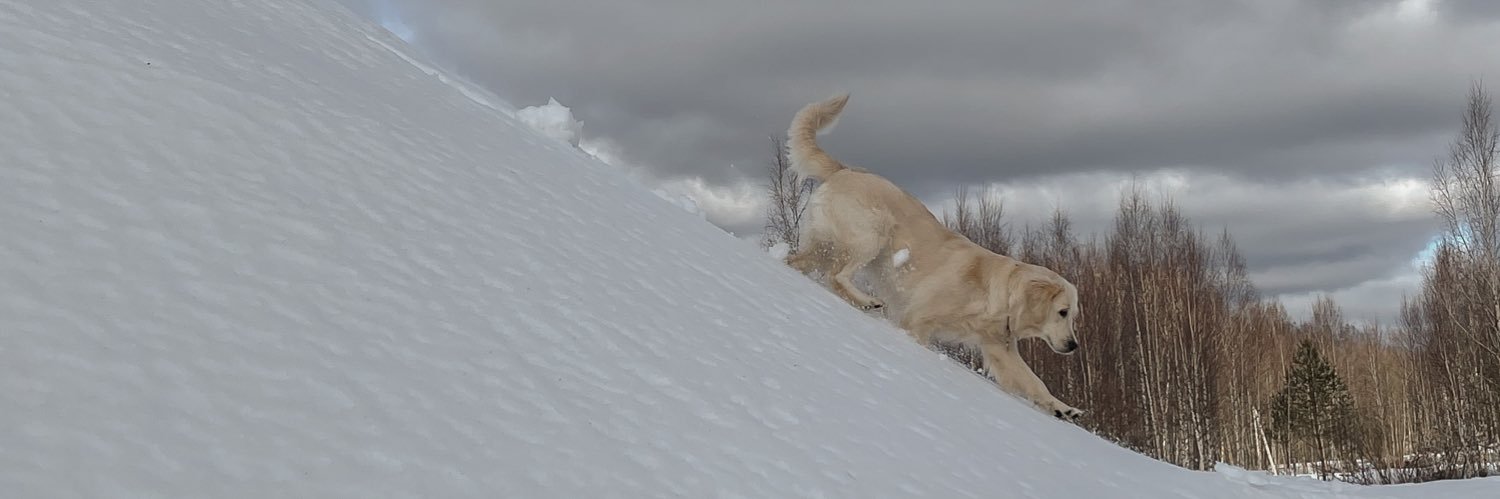 ShvecValerochka's profile banner image