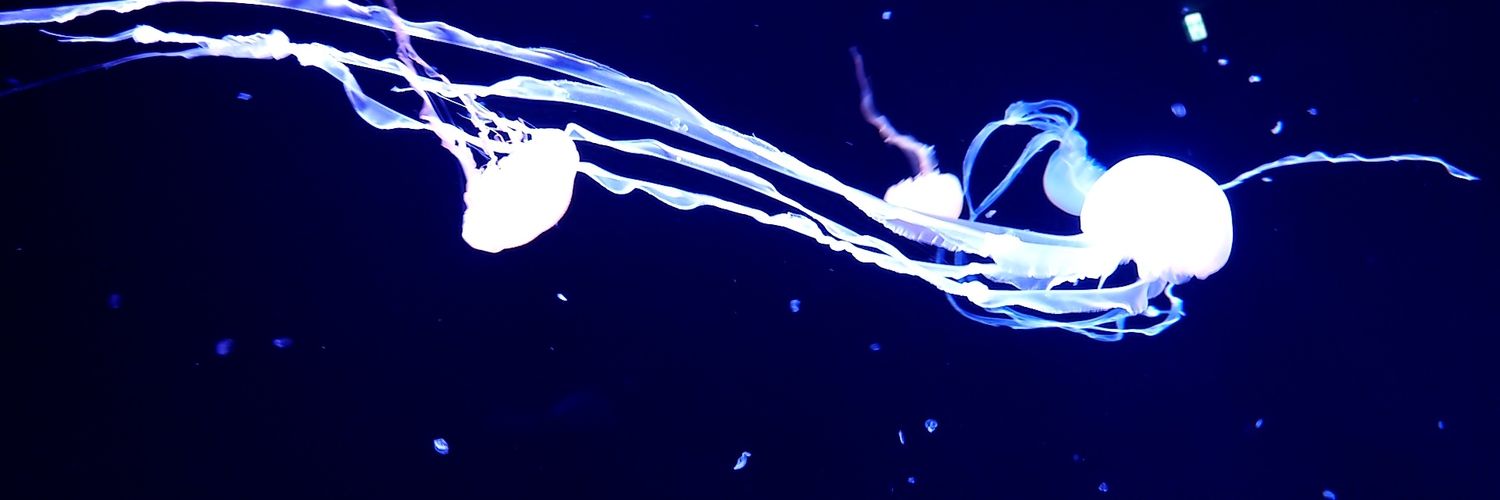 久遠▷5/6東3 む38a banner