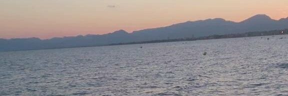 Nerea banner