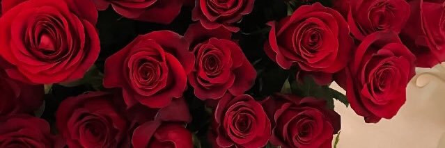 Alexane banner