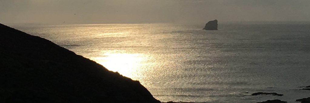 bruvdeller's profile banner image