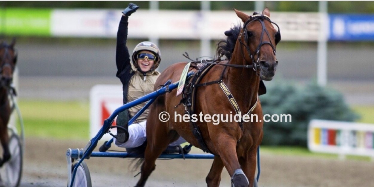 martine o. sørvik banner