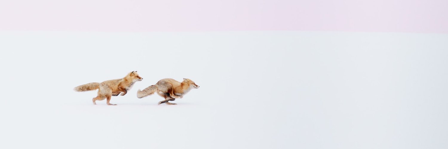 Themarchos's profile banner image
