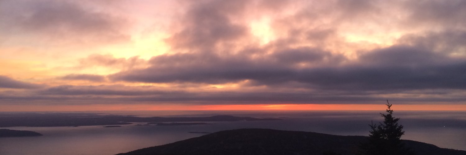 allison_plummer's profile banner image