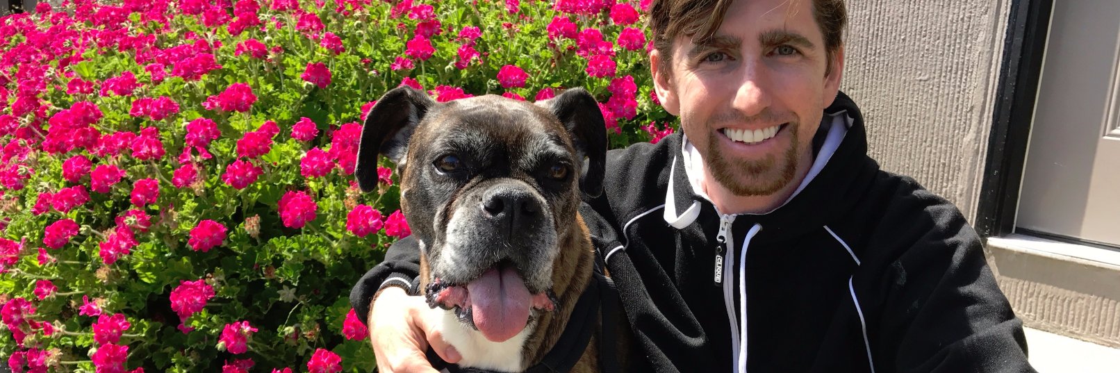 MaggieTheBoxer's profile banner image