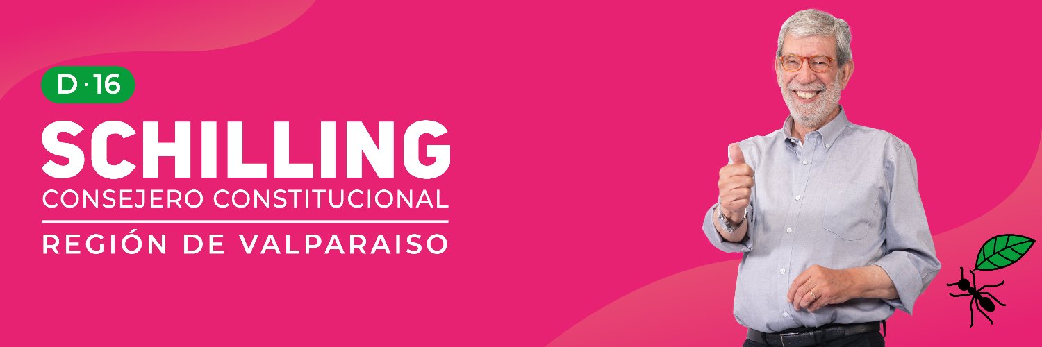 Marcelo Schilling Consejero Constitucional banner