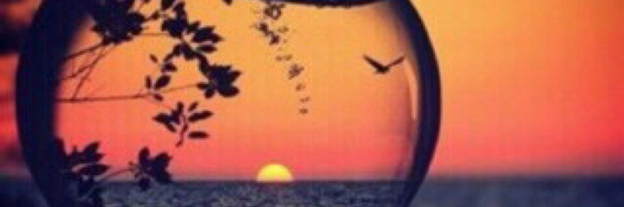 MokhtarElfky's profile banner image