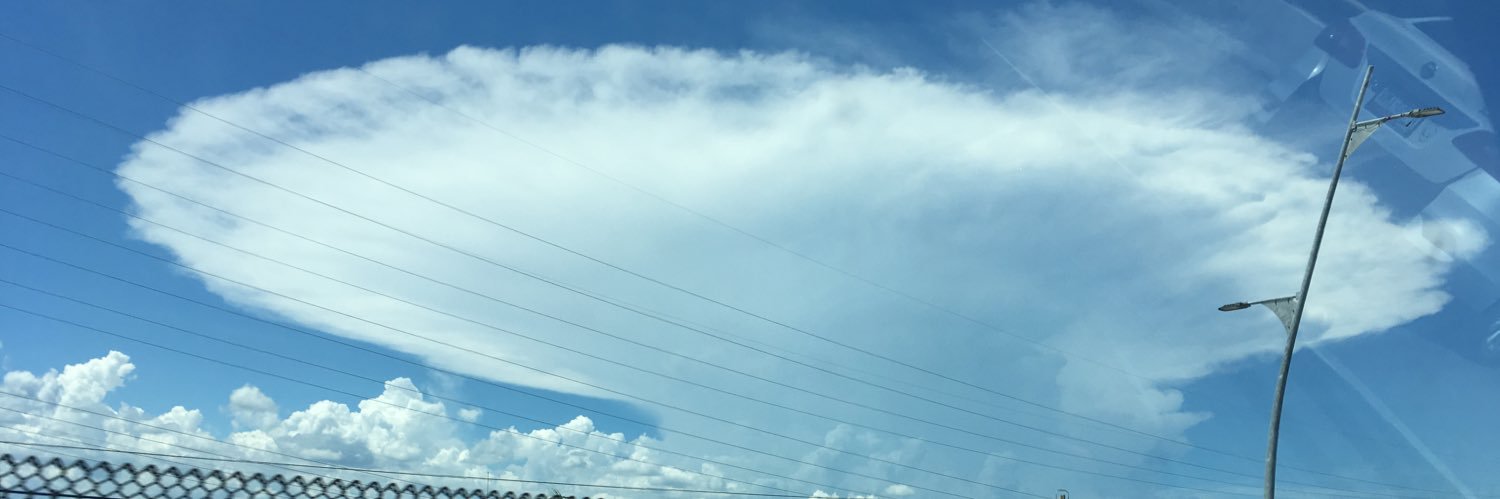spegnere's profile banner image