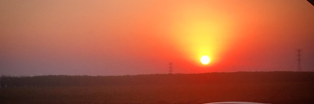 thayribela's profile banner image