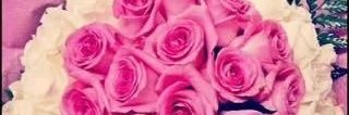 NoraMubarak2's profile banner image