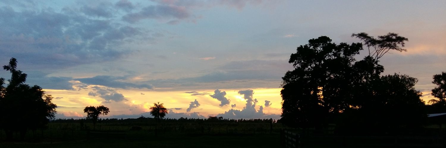 Boris 🇵🇾 banner