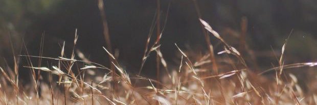 toriea94's profile banner image