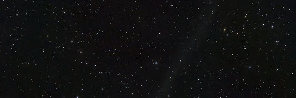ChocolateBisco's profile banner image