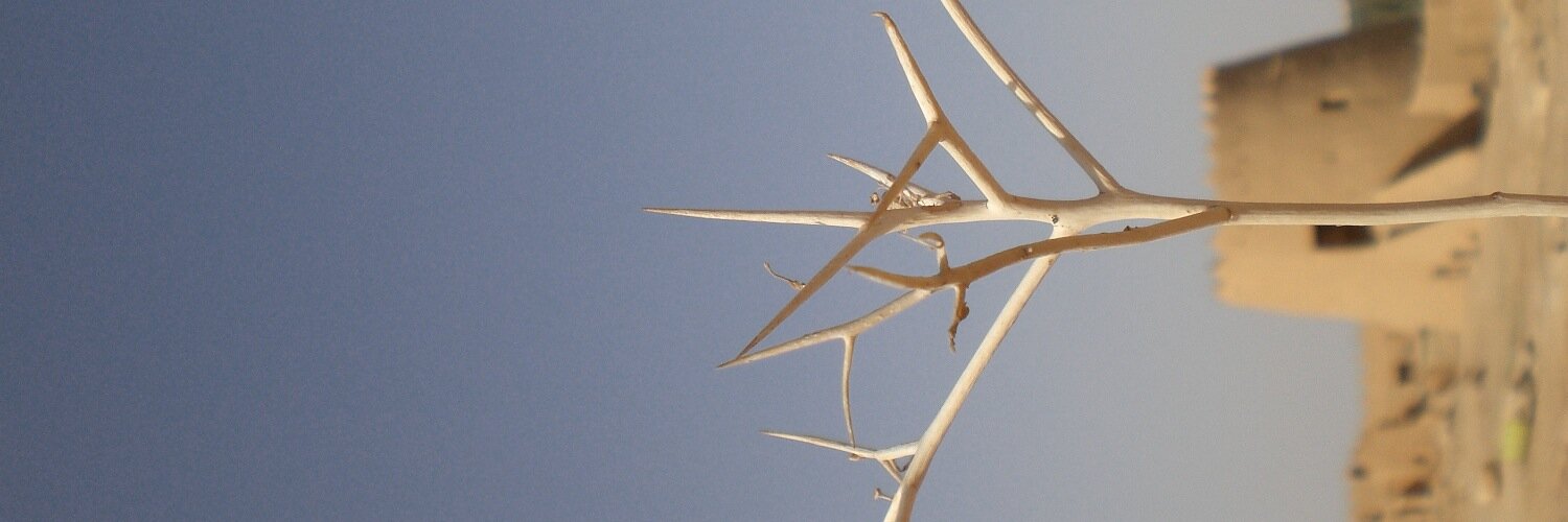 edistragfj's profile banner image